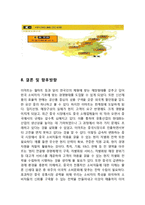 EMART 이마트 기업분석과 중국진출 마케팅사례분석/ 이마트 한국시장 성공사례분석/ 이마트 중국에서의 위기극복위한 전략제안-20