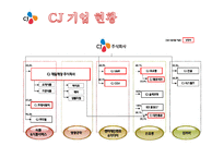 CJ 기업분석과 SWOT분석/ CJ 경영전략과 사업성공,실패사례분석 PPT-5