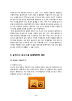 [블랙야크 해외진출 마케팅전략 기획안] 블랙야크 브랜드분석과 해외진출 마케팅 SWOT,STP,4P전략분석과 블랙야크 미래시사점-14