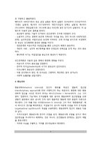 [교육행정이론] 교육행정의 이론(과학적 관리론, 인간관계론, 행동과학)-3