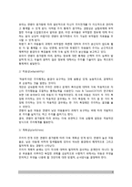 [유아기 주의발달 및 기억발달] 유아의 주의발달, 유아의 기억발달-3