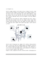 [인지발달단계] 피아제(Piaget)의 인지발달단계(인지발달과정 - 영아기, 유아기, 아동기)-4