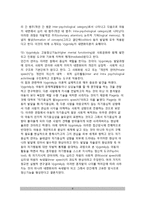 [인지발달이론] 피아제(Piaget), 브루너(Bruner), 비고츠키(Vygosky)의 인지발달이론(인지발달단계)-8