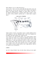 태아발달(태아기의 발달) - 태아의 발달과정(배아기, 태아기), 태아발달에 영향을 주는 요소-3