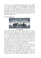 폭스바겐 기업분석과 폭스바겐 마케팅전략과 글로벌 경영전략 사례연구-12