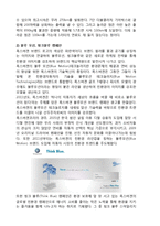 폭스바겐 기업분석과 폭스바겐 마케팅전략과 글로벌 경영전략 사례연구-17