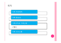 가족체계의이해(가족상담및치료, 가족하위체계, 가족항상성, 가족규칙, 가족신화, 가족신화예시, 가족의사소통) PPT-2