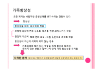 가족체계의이해(가족상담및치료, 가족하위체계, 가족항상성, 가족규칙, 가족신화, 가족신화예시, 가족의사소통) PPT-4