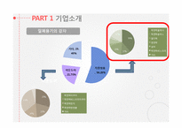 락앤락 기업분석과 락앤락 중국진출 마케팅 SWOT,STP,4P전략분석 PPT-5