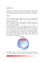 [태내발달과정] 태내발달의 단계(배종기, 배아기, 태아기)-2