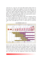 [태내발달과정] 태내발달의 단계(배종기, 배아기, 태아기)-4