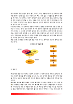 프로이드(Freud)의 심리성적이론 - 프로이드(프로이트)의 심리성적발달이론(성격의 구조, 발달의 단계)-4