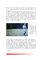 [동물행동학이론] 동물행동학적 이론 - 로렌츠(Lorenz)의 각인이론, 보울비(Bowlby)의 애착이론, 윌슨(Wilson)의 사회생물학 이론, 동물행동학적 이론에 대한 평가-3