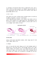 출산(분만의 단계, 대안분만법, 출산시 문제점, 출산준비)-3