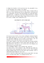 [학습이론] 파블로프(Pavlov)의 고전적 조건형성이론(고전적 조건화), 스키너(Skinner)의 조작적 조건형성이론(조작적 조건화), 반두라(Bandura)의 인지적 사회학습이론, 학습이론에 대한 평가-3