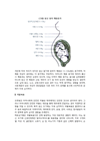 태내환경과 영향요인(태내환경이 태아에게 미치는 영향)-3