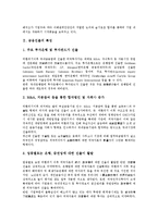 [금융진출][금융진출 투자규모][금융진출 제고 과제]금융진출의 특징, 금융진출의 영향, 금융진출의 투자규모, 향후 금융진출의 제고 과제 분석-3