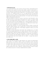 [노사관계] IMF당시 구조조정성공사례 -대한페인트-12