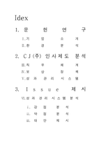 [cj경영사례] CJ(주)의 경영사례분석- 인사제도에 중점-2