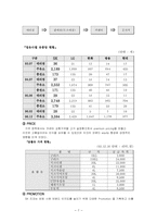 [국제마케팅] SK ZIC의 한국중심으로 중국시장에서 마케팅믹스전략-10