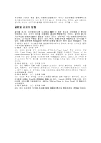 [국제마케팅사례] 코카콜라와 펩시콜라의 글로벌마케팅사례연구-5