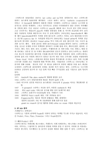 [국제경영전략] 스타벅스의 사례연구-4