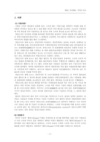 [경영조직] Empas 엠파스 조직분석-2