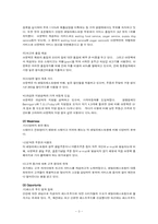 [국제마케팅] 아웃백스테이크 사례분석-3