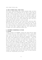 [소비자행동] 삼성전자의 애니콜의 광고전략-6