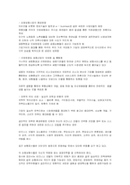 손해보험의 전략적위치선정 - 일상적전략과 변환적전략-4