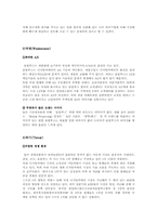 [마케팅조사론] 올림푸스의 향후 마케팅전략-6