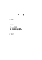 [국제경영] 태평양 `로리타 렘피카` 성공요인과 현지화전략-11