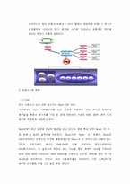 [경영정보시스템] ㈜기린 정보화현황, 개선과제 및 기대효과-11