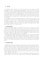 [다국적기업론](주)레인콤(`아이리버`)의 성공전략과 해외진출사례-2
