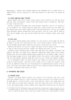 [다국적기업론](주)레인콤(`아이리버`)의 성공전략과 해외진출사례-3