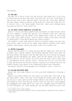 [다국적기업론](주)레인콤(`아이리버`)의 성공전략과 해외진출사례-4