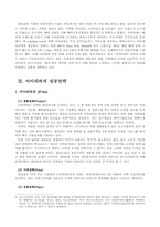 [다국적기업론](주)레인콤(`아이리버`)의 성공전략과 해외진출사례-14