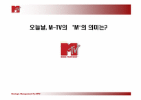 MTV성공사례 레포트-12