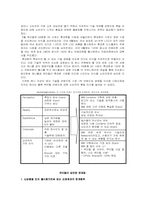 [마케팅] 팬택앤큐리텔의 브랜드관리-7