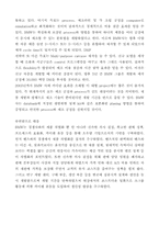 BMW의 성공사례 레포트-16