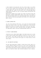 싸이월드의 단점과 대책 향후 방향-4