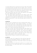 [국제마케팅] 주)보끄레 머천다이징 패션의류 ON&ON 중국마케팅전략분석-4