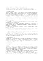 [조직행태론] 조직문화-2