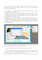 [인터넷비즈니스] 싸이월드 미니홈피 성공사례와 문제점-11
