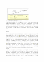 [국제경영] 삼성의 디스플레이사업 성공요인과 경영전략-5