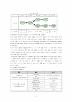 [국제경영] 삼성의 디스플레이사업 성공요인과 경영전략-6