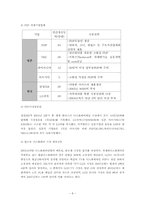 [국제경영] 삼성의 디스플레이사업 성공요인과 경영전략-8