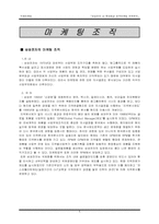 [국제마케팅] 삼성전자 vs 롯데제과 중국마케팅전략분석-8