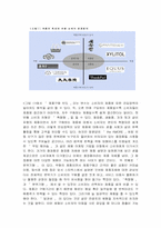 [체험마케팅] 체험마케팅-라네즈사례중심-7