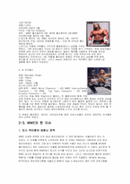 [마케팅원론] 프로레스링 `WWE` 마케팅전략-9